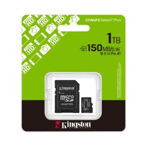 Kingston 1TB LSDMI Hochgeschwindigkeits MicroSD Karte